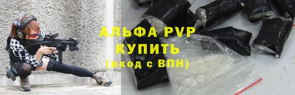 spice Баксан