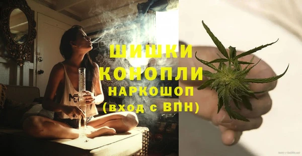 сатива Белокуриха
