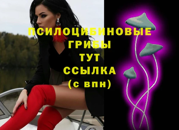 МДПВ Балахна