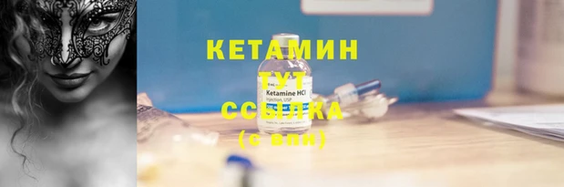 сатива Белокуриха