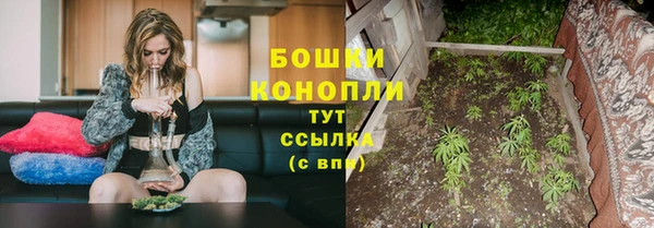 spice Баксан