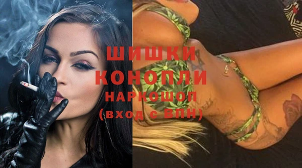 сатива Белокуриха