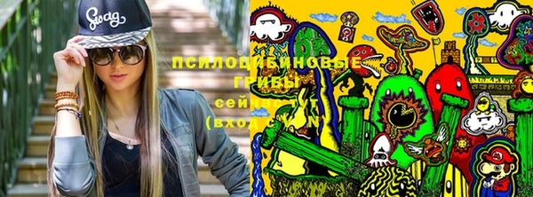 дмт Беломорск